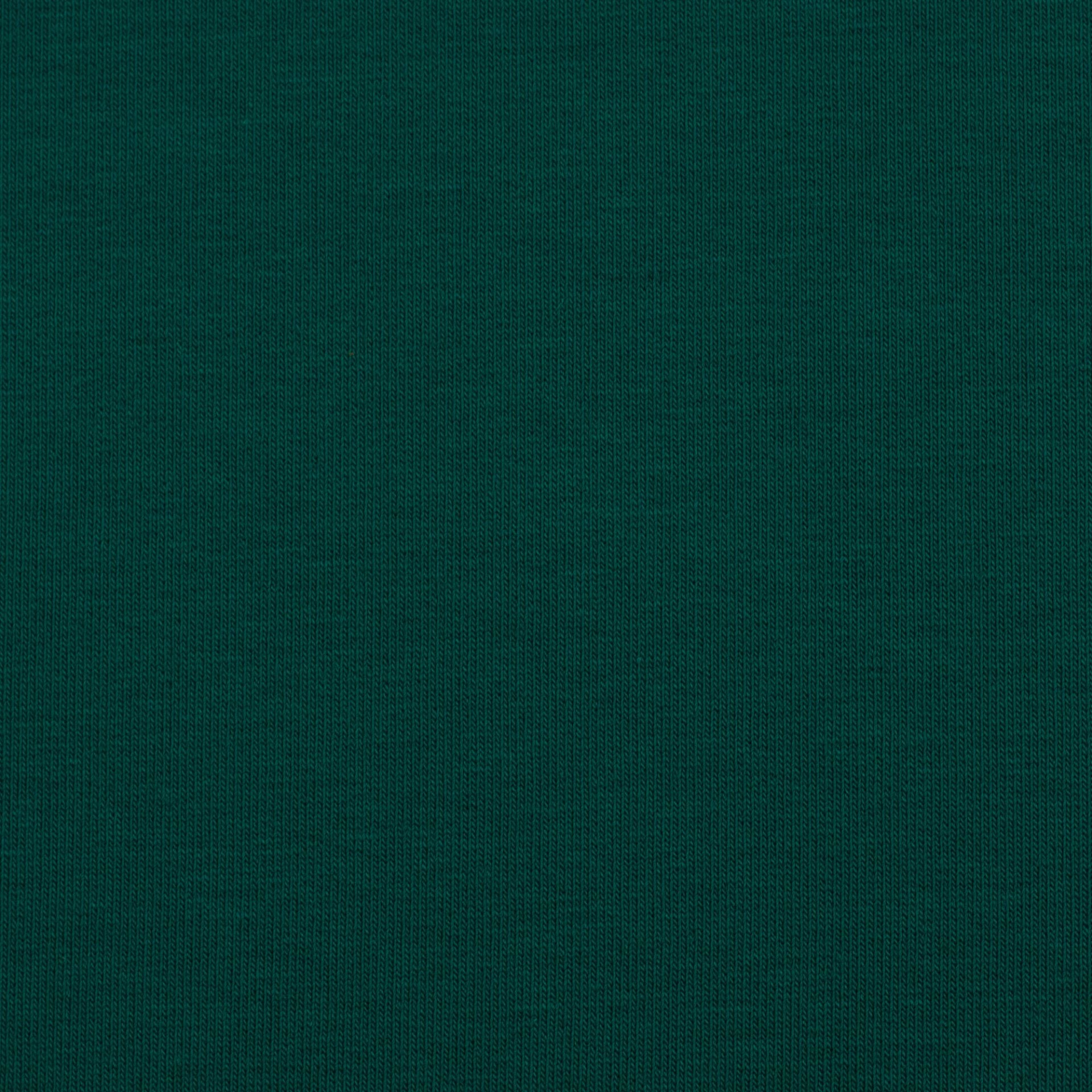 0,5m French Terry petrol 750