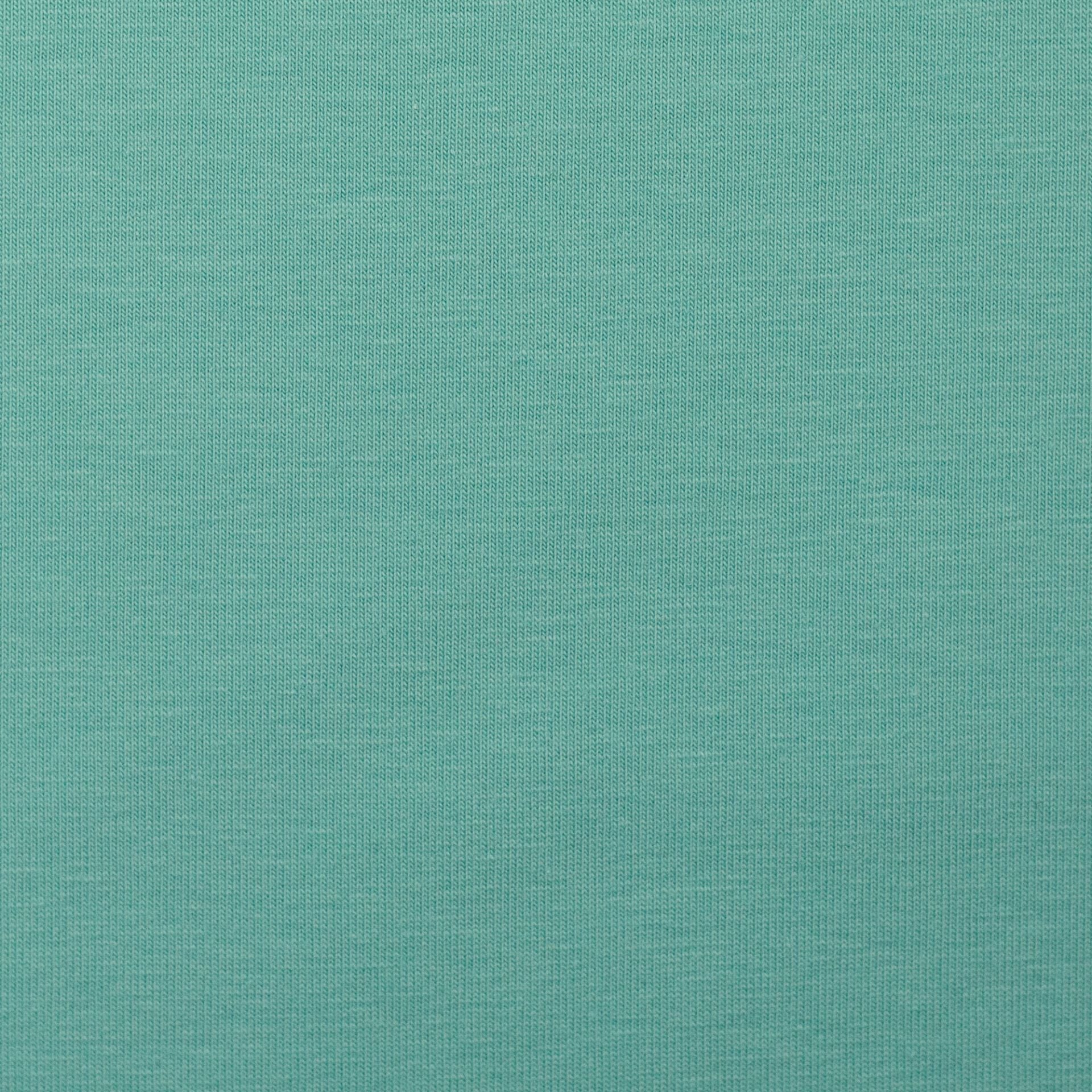 0,5m Jersey hellmint 261