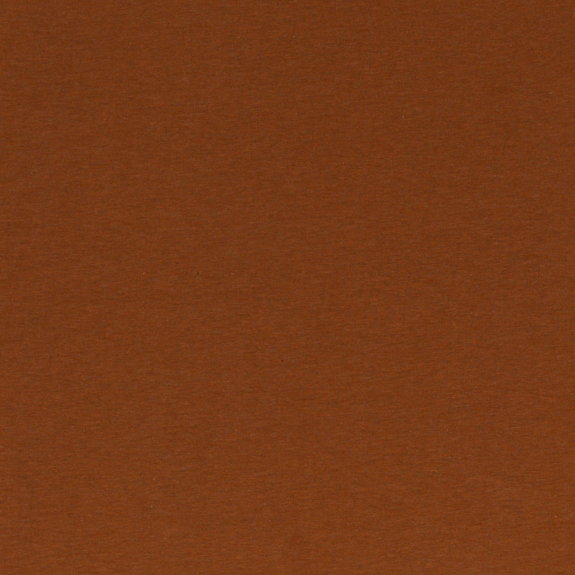 0,5m Ökotex 100 - Melange-Jersey rost 1715