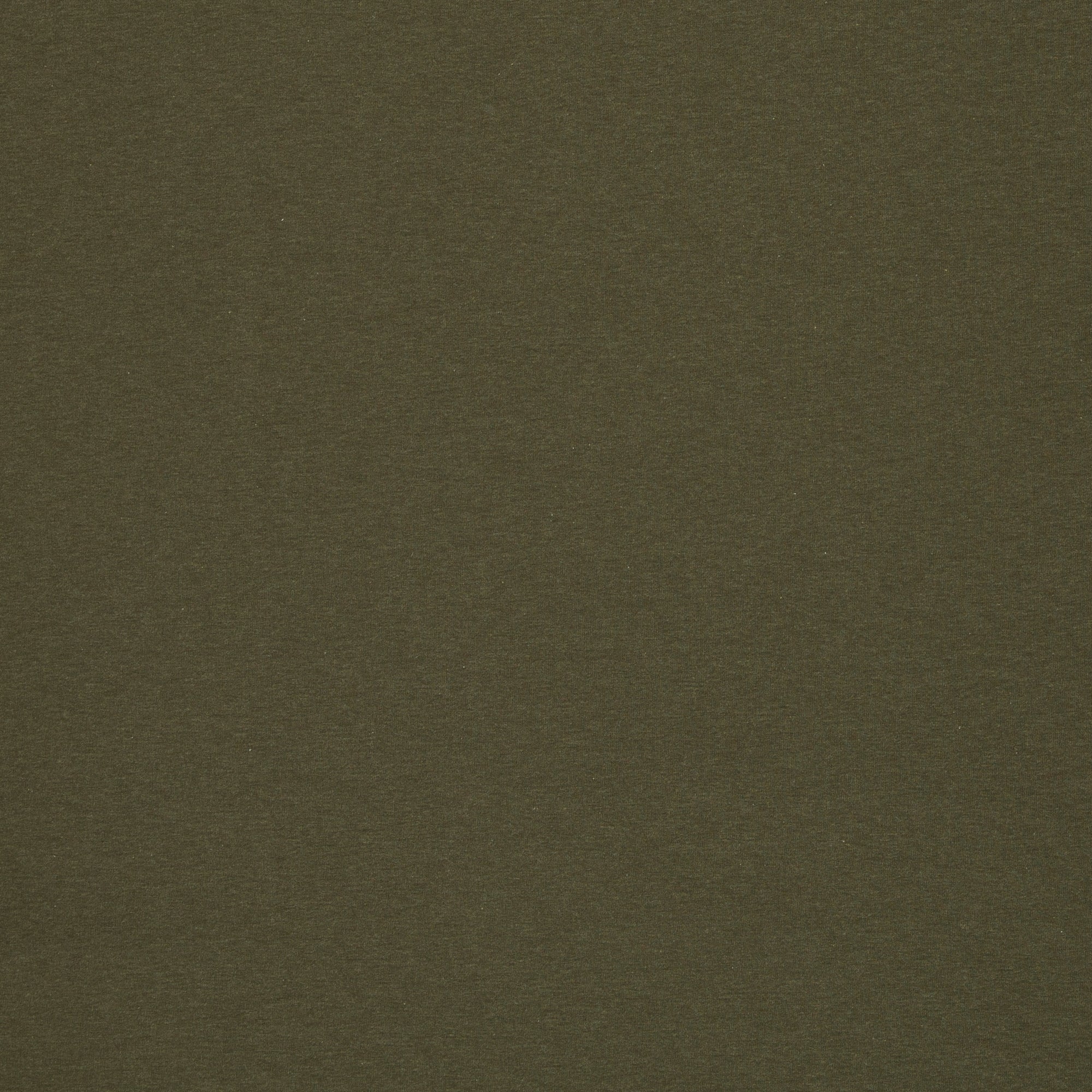 0,5m Ökotex 100 - Melange-Jersey laubfrosch 1769