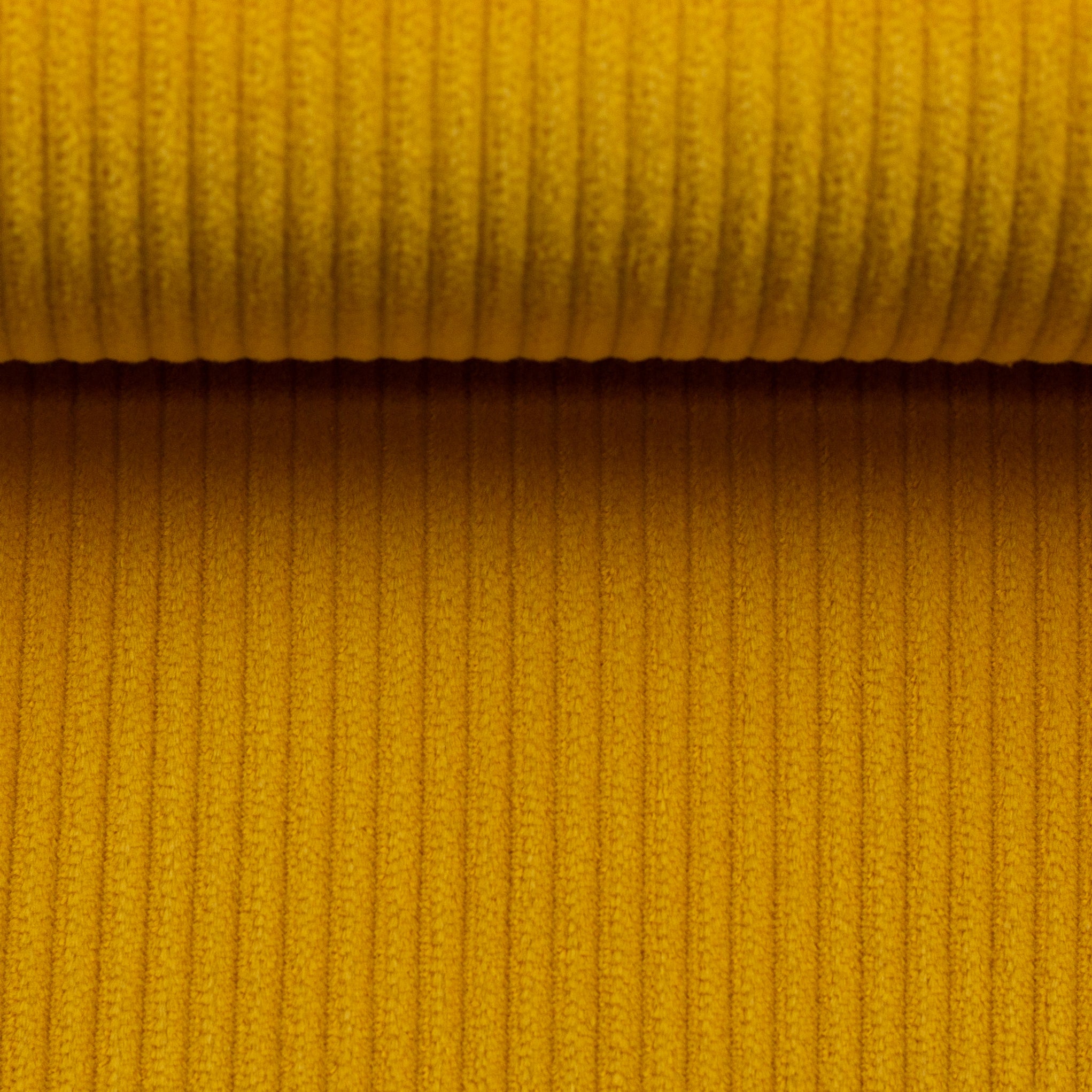 0,5m Breitcord Senf 313