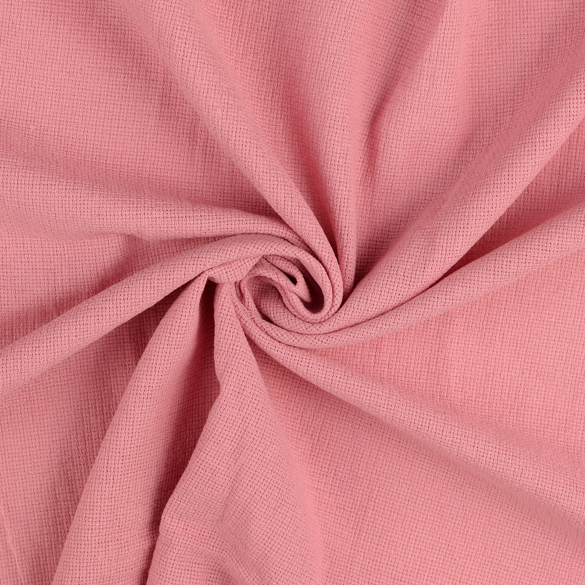 0,5m Summer Breeze rose