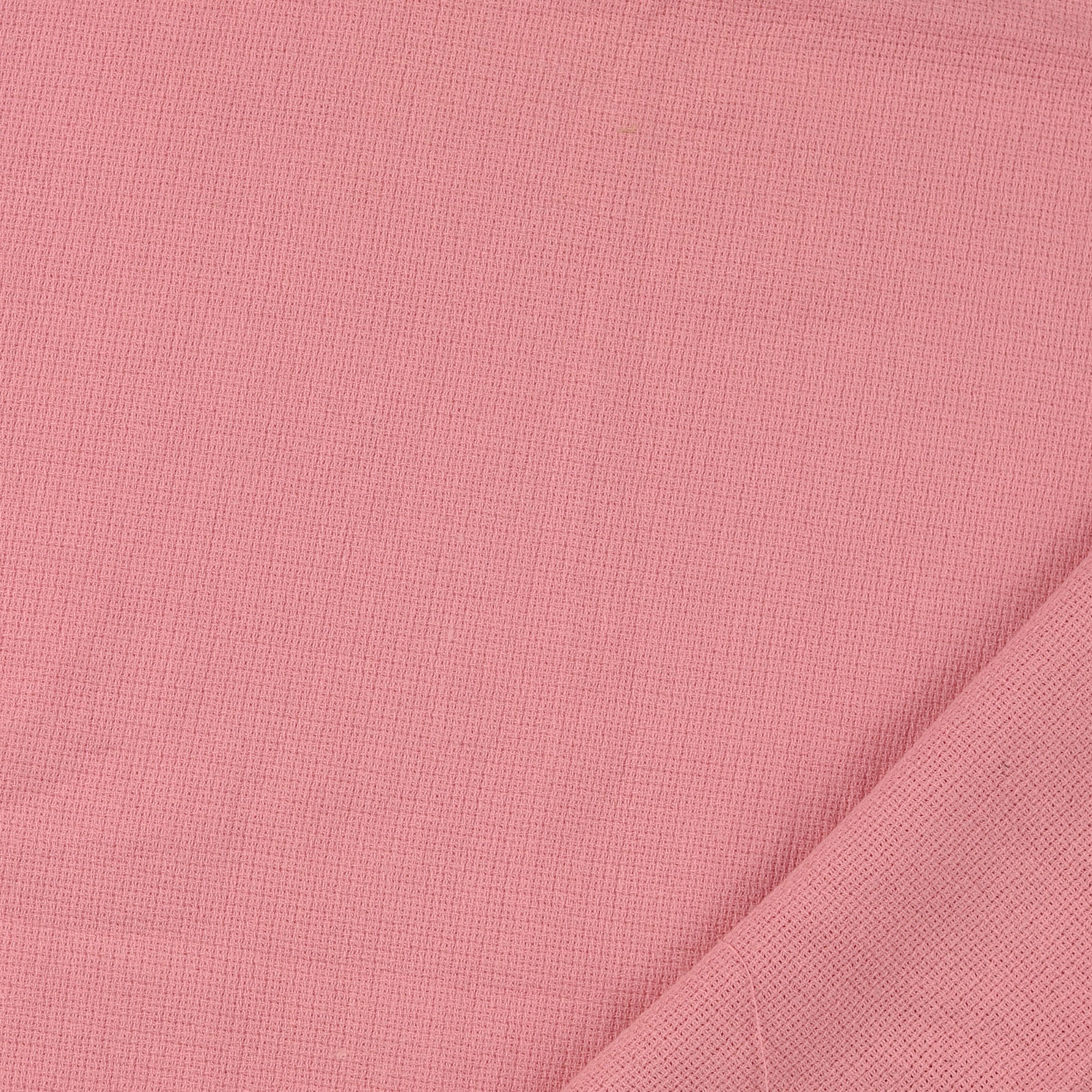 0,5m Summer Breeze rose