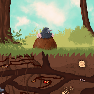 Bio-Jersey MaulwurfLIEBE Tunnel retro