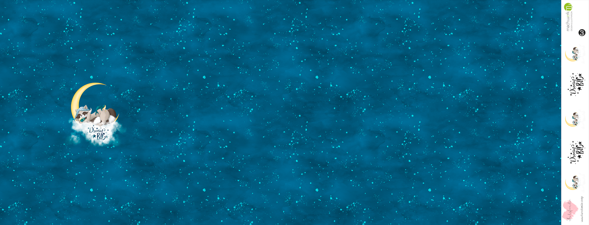 Bio-Jersey Charlie "Dream Big" petrol