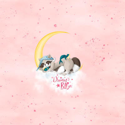 Bio-Jersey Charlie "Dream Big" babyrosa