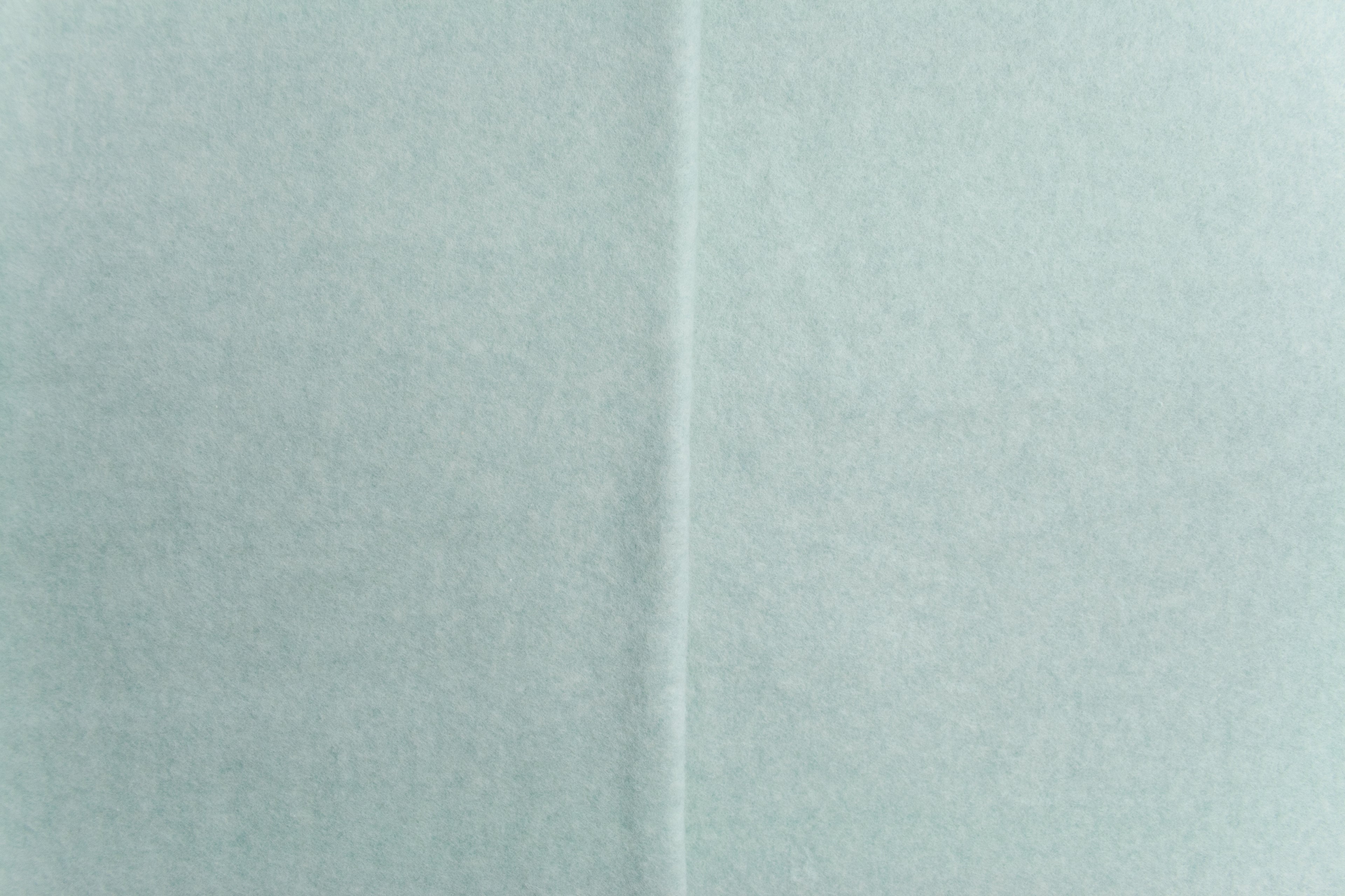 0,5m Bio-Baumwollfleece mint melange