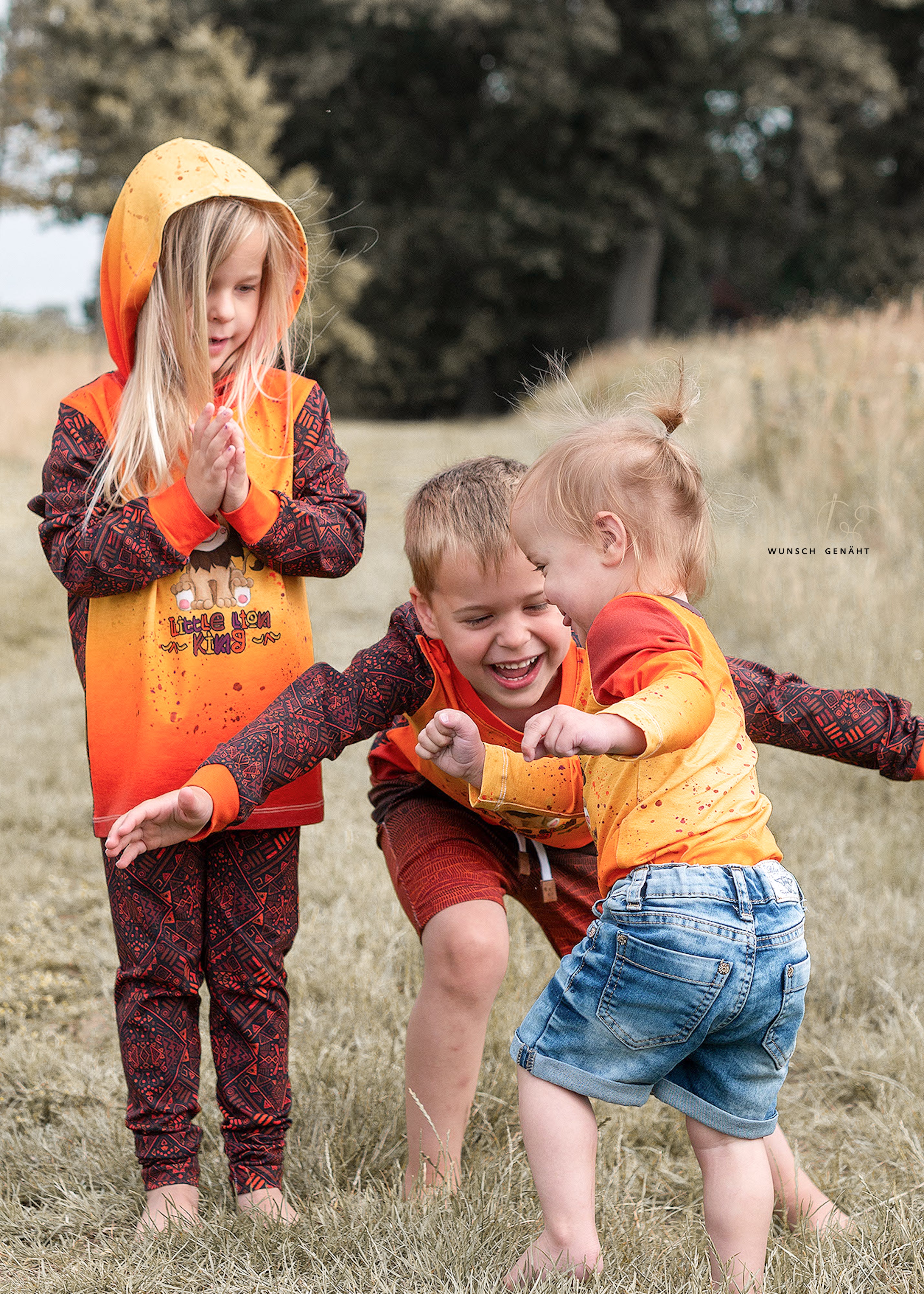 Little Lion King Hoodie