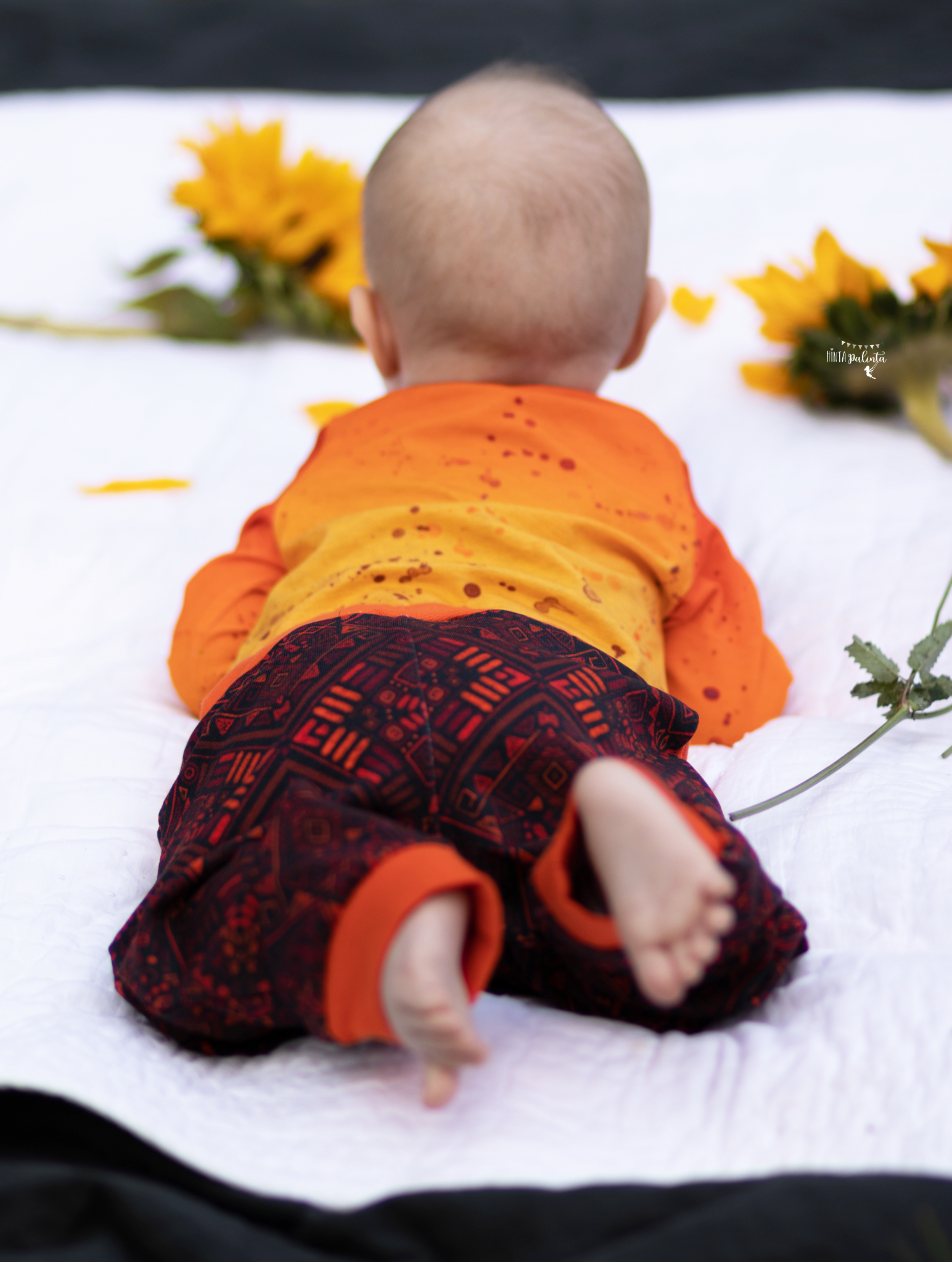 Little Lion King Hose