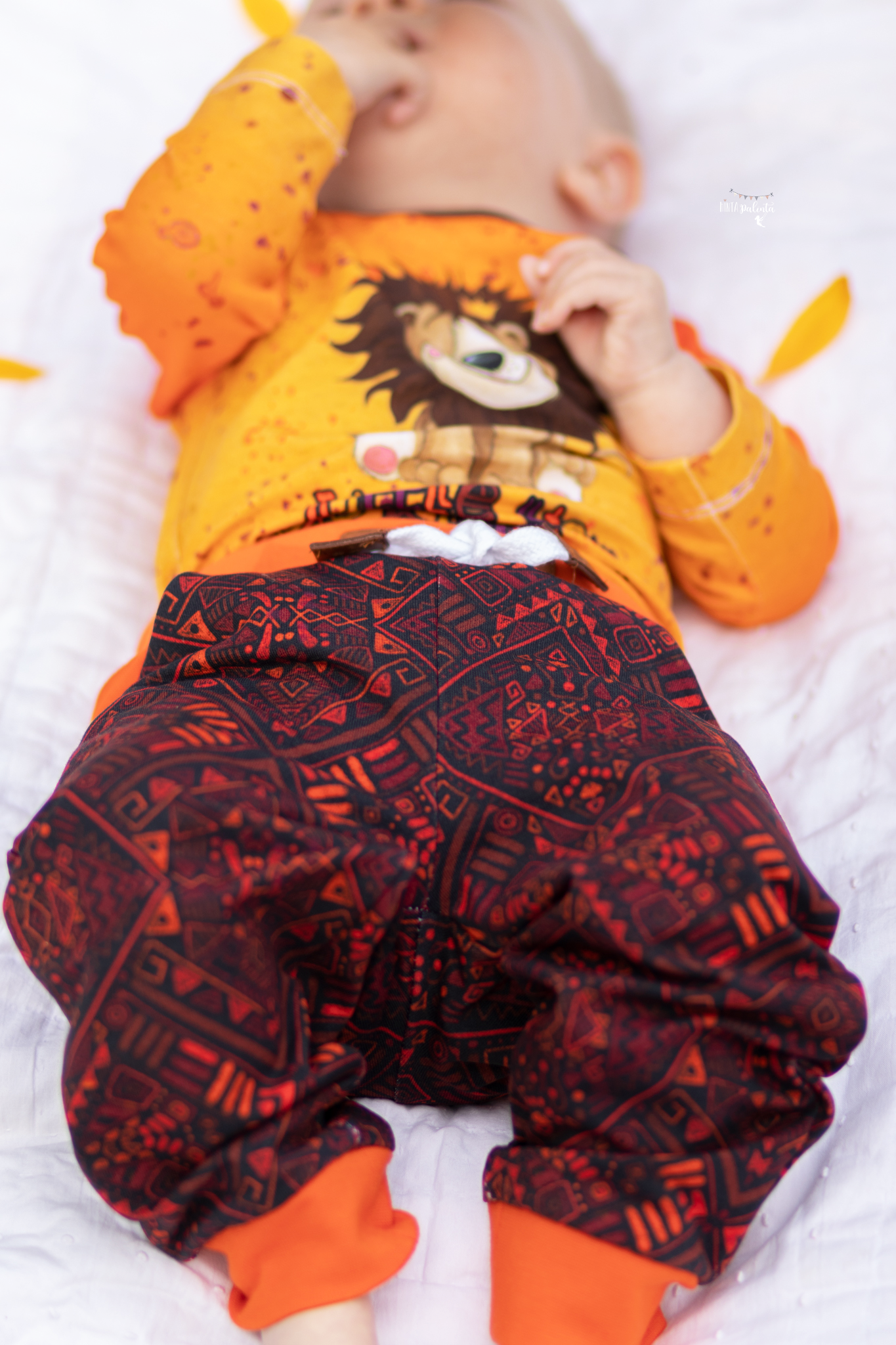 Little Lion King Hose