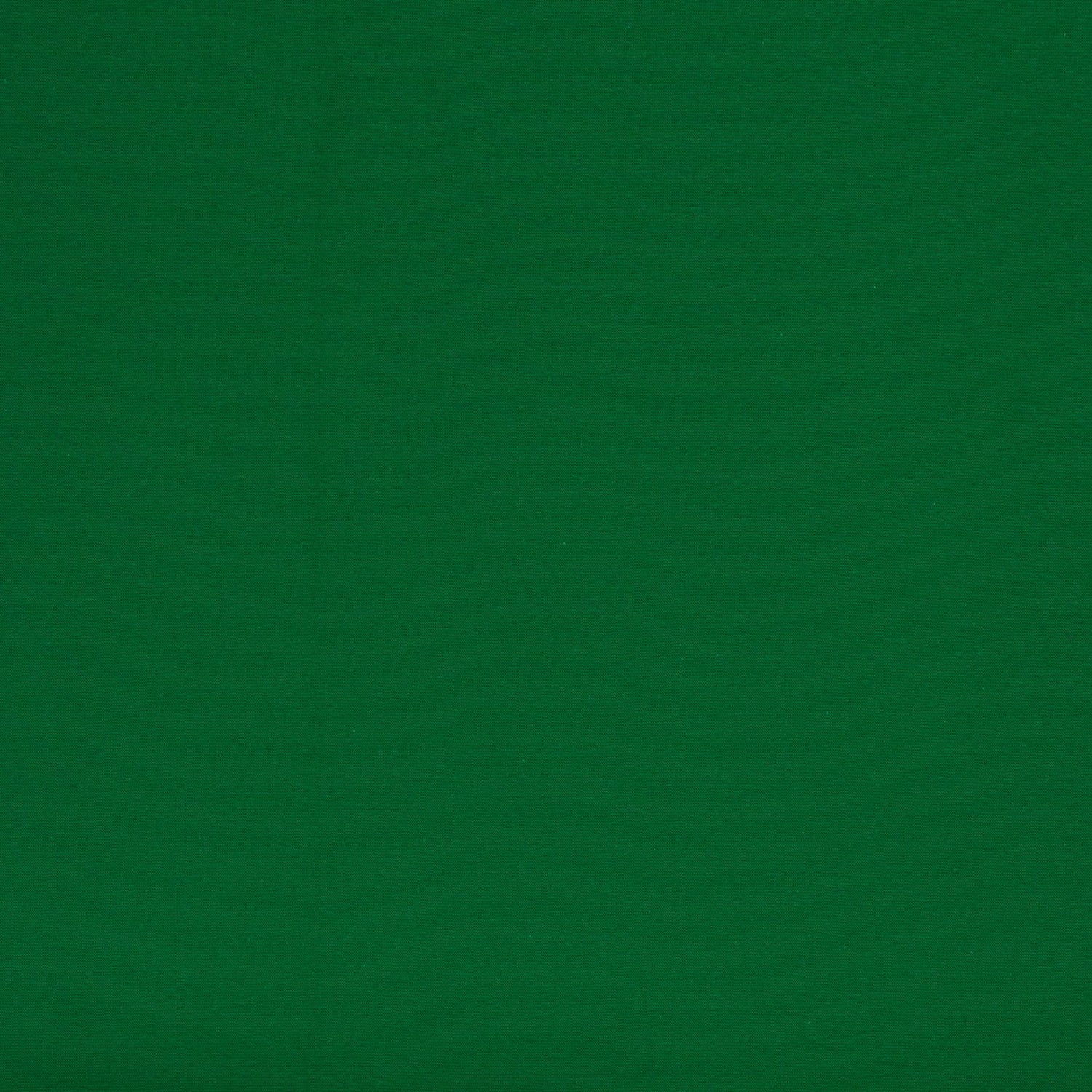 0,5m Sweat angeraut (innen kuschlig) Grasgrün 365