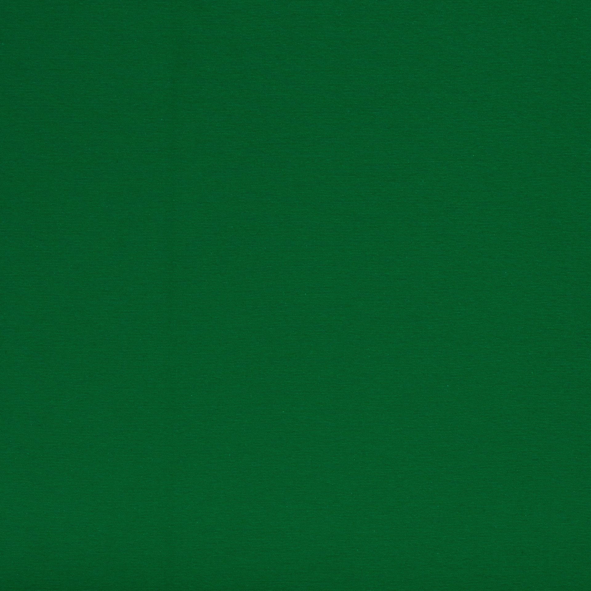 0,5m Sweat angeraut (innen kuschlig) Grasgrün 365