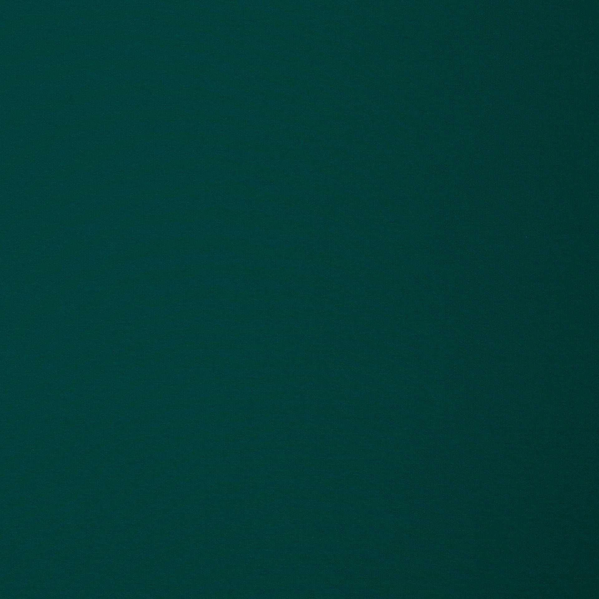 0,5m French Terry petrol 750