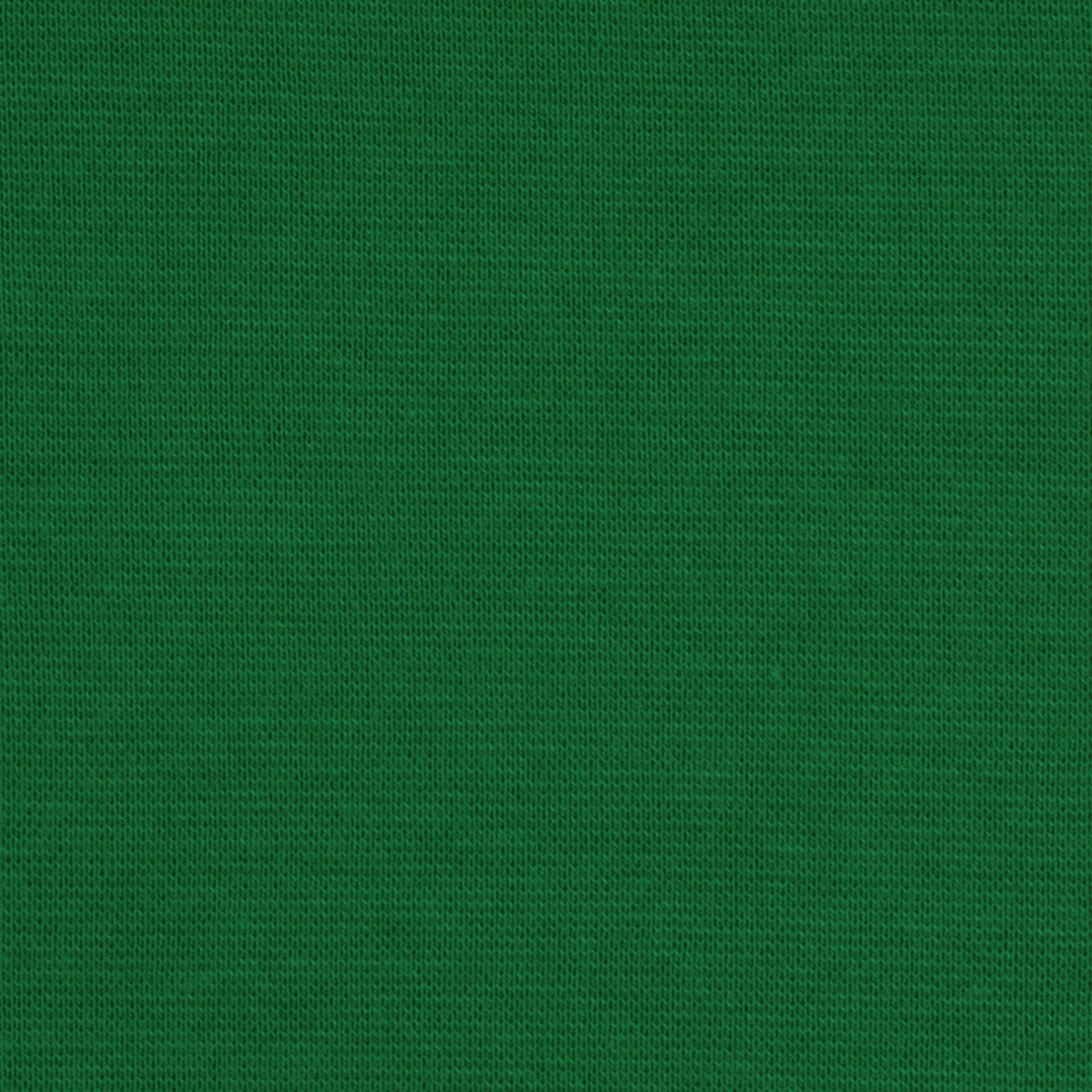 0,5m Ökotex 100 - Bündchen grün 0365