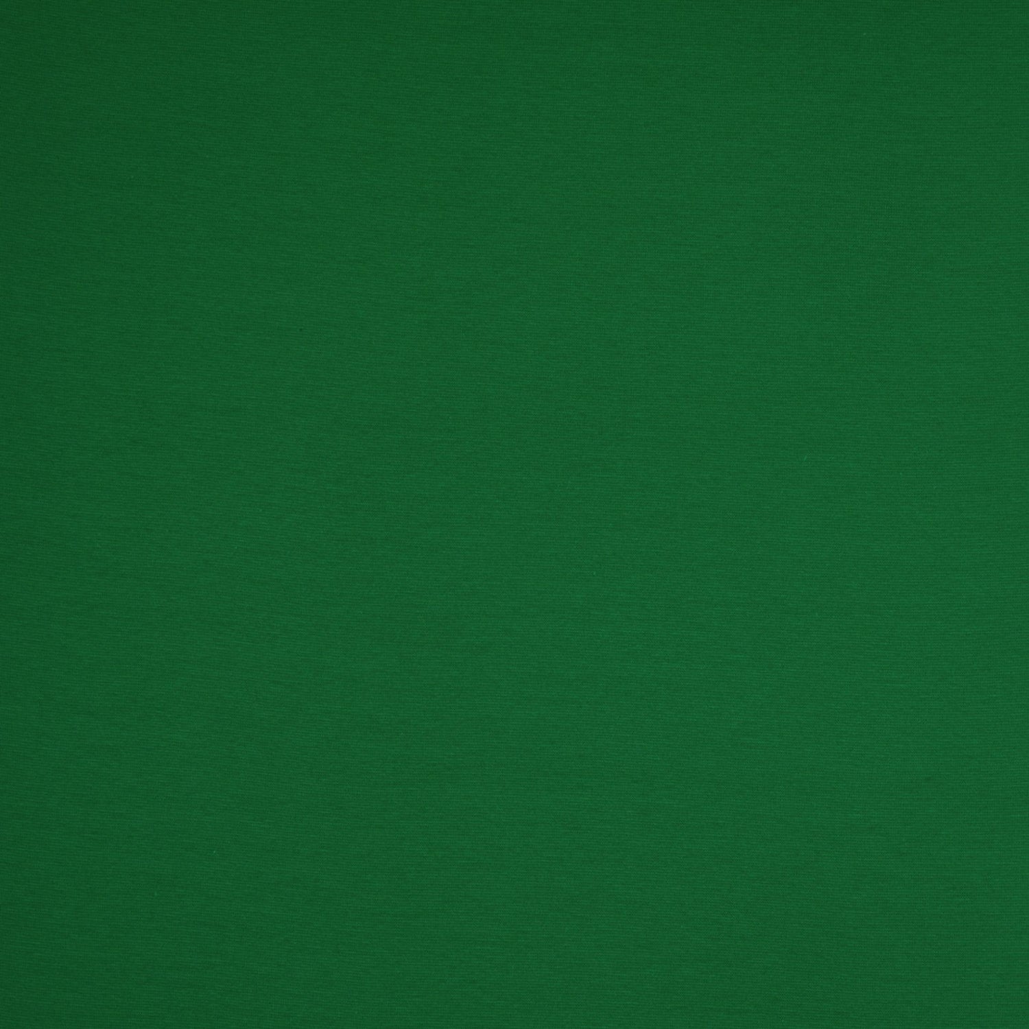 0,5m Ökotex 100 - Bündchen grün 0365