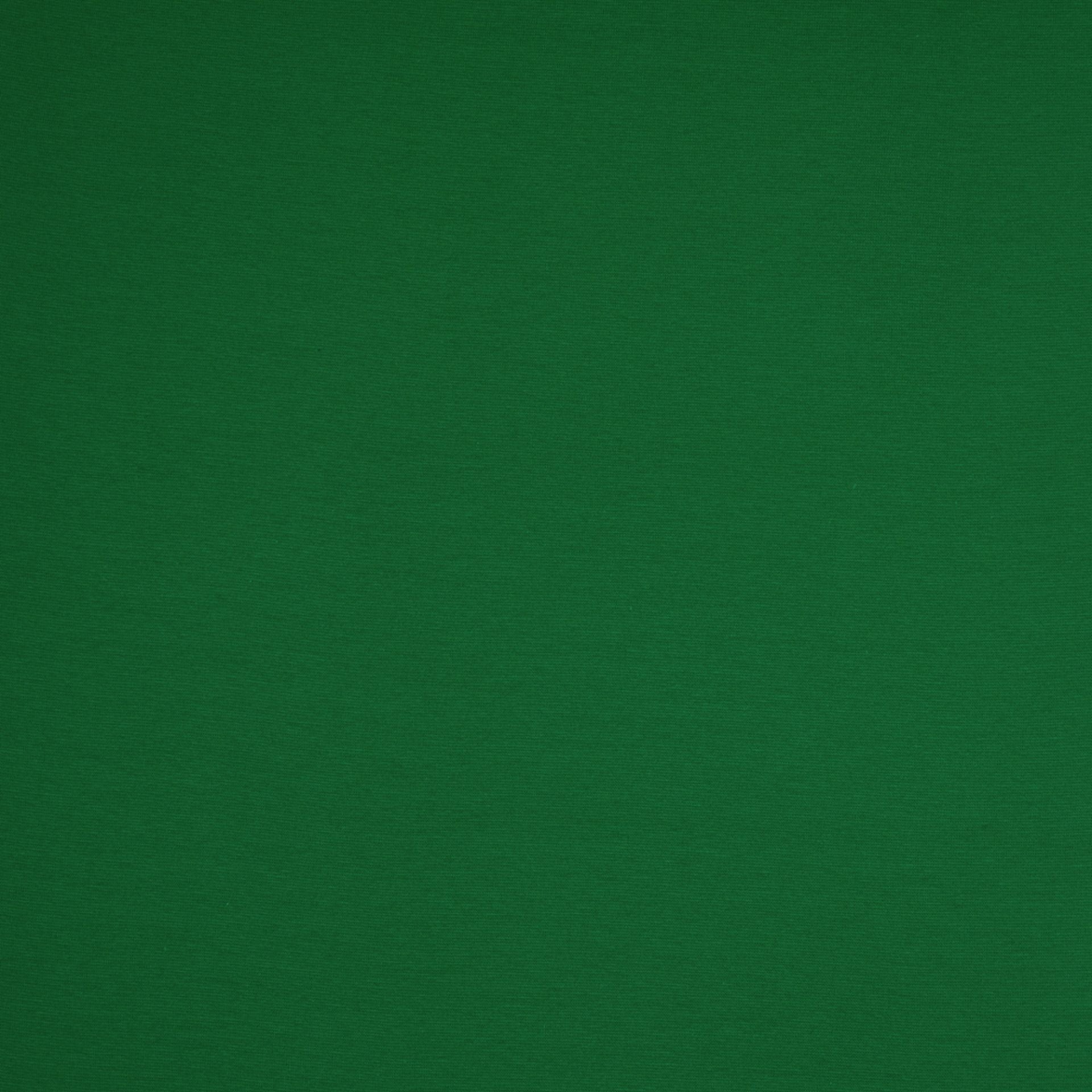 0,5m Ökotex 100 - Bündchen grün 0365