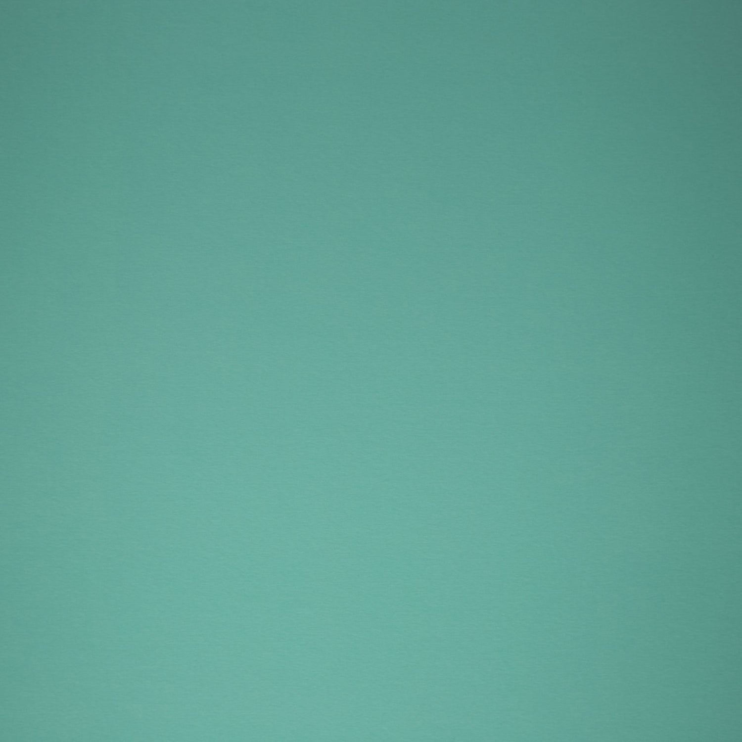 0,5m Jersey hellmint 261