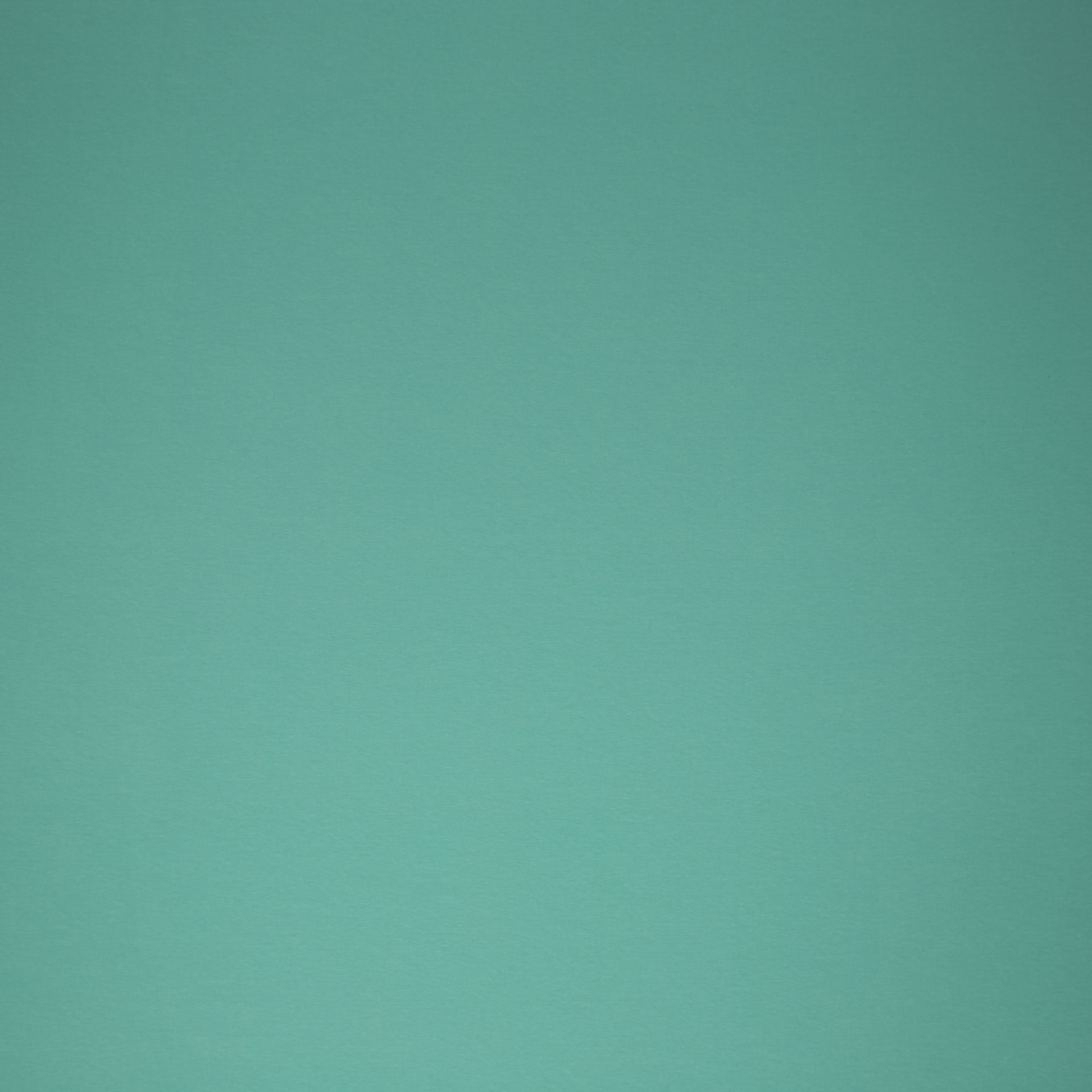 0,5m Jersey hellmint 261