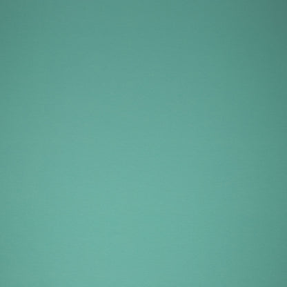 0,5m Jersey hellmint 261