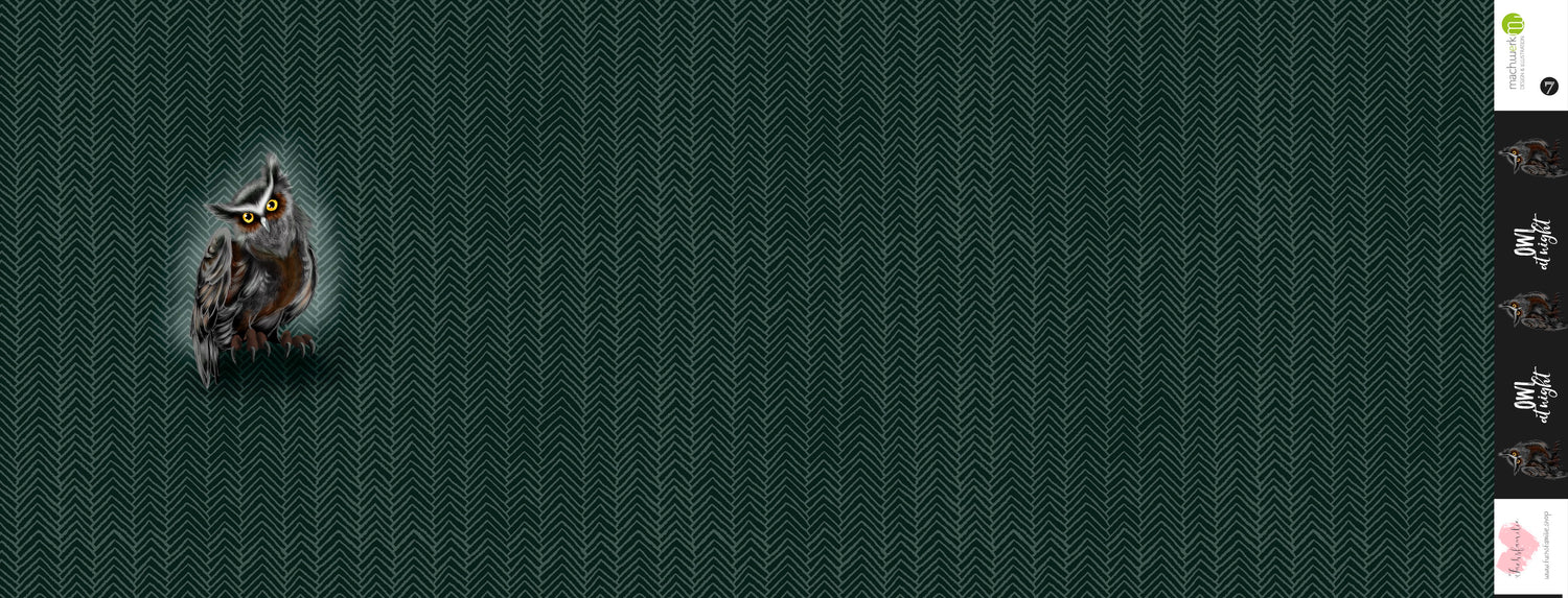 Bio-Sommersweat Owl at Night greygreen 