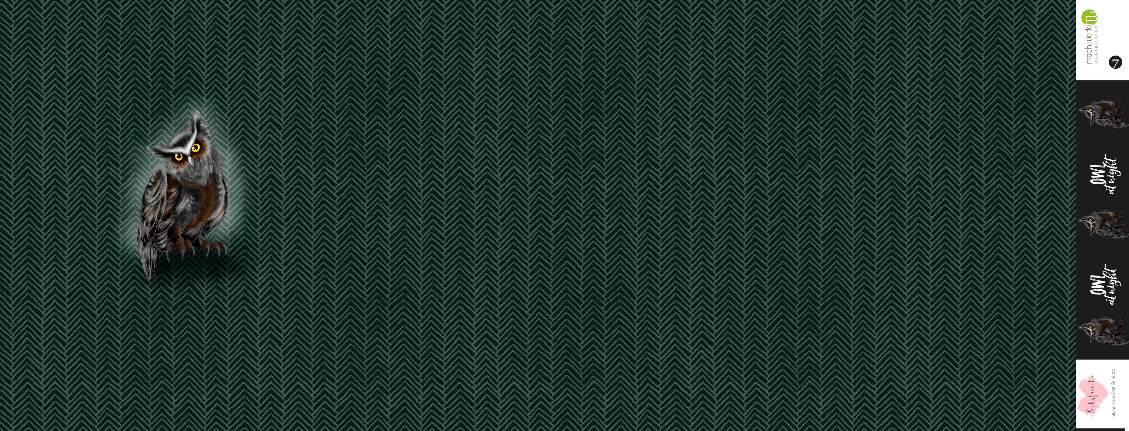 Bio-Sommersweat Owl at Night greygreen 