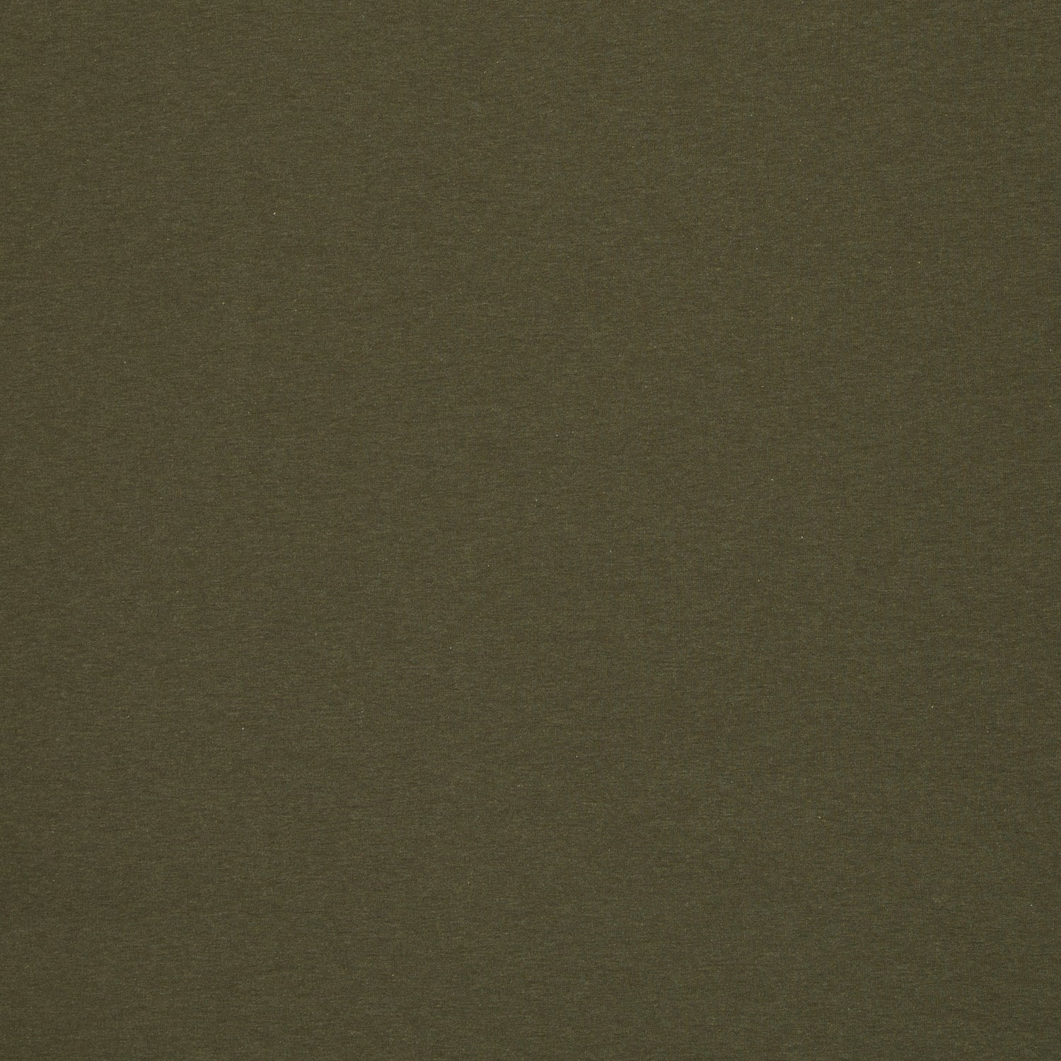 0,5m Ökotex 100 - Melange-Jersey laubfrosch 1769