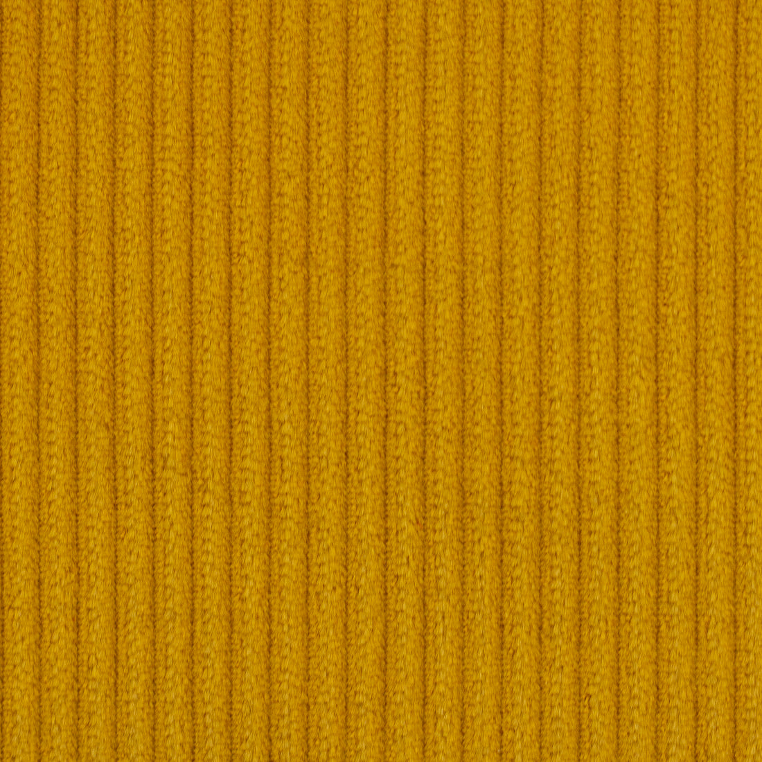 0,5m Breitcord Senf 313