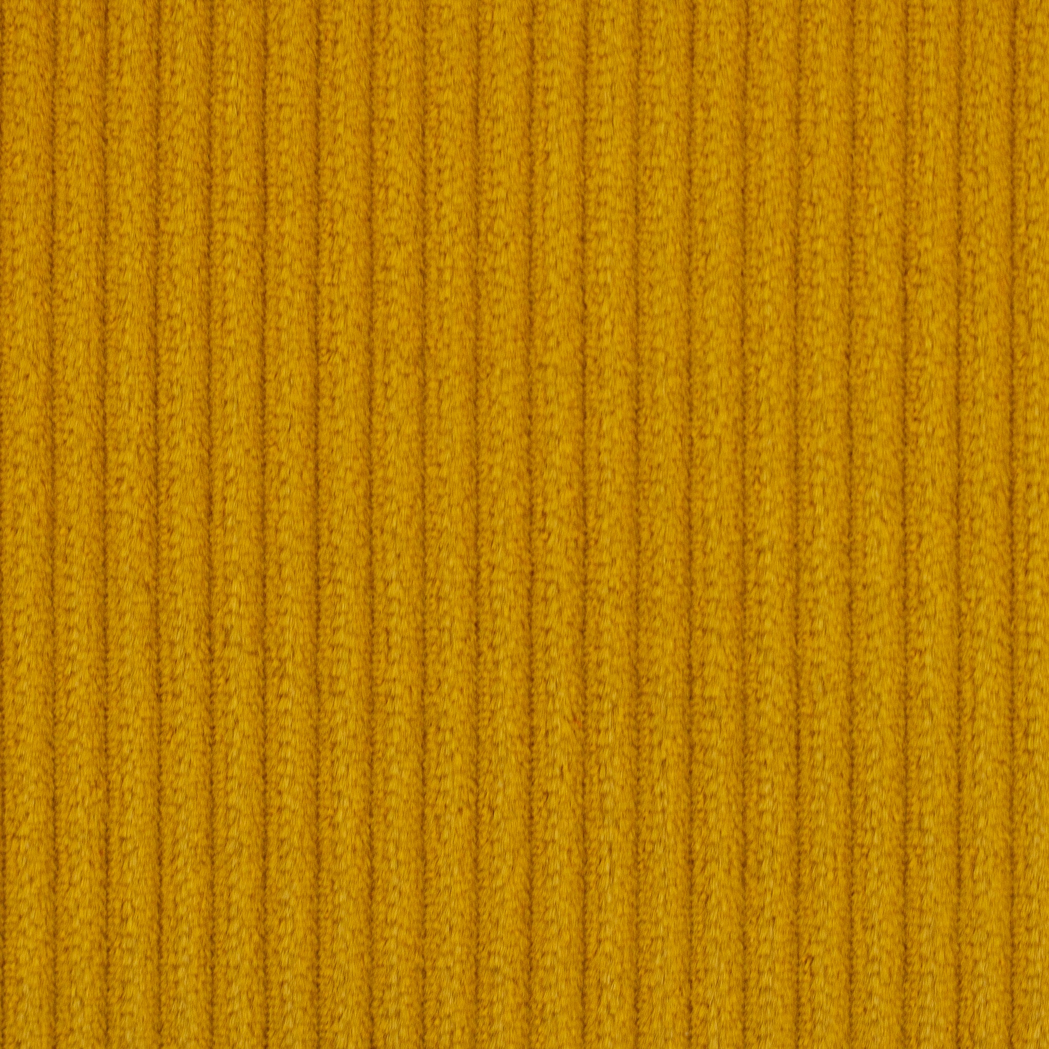 0,5m Breitcord Senf 313