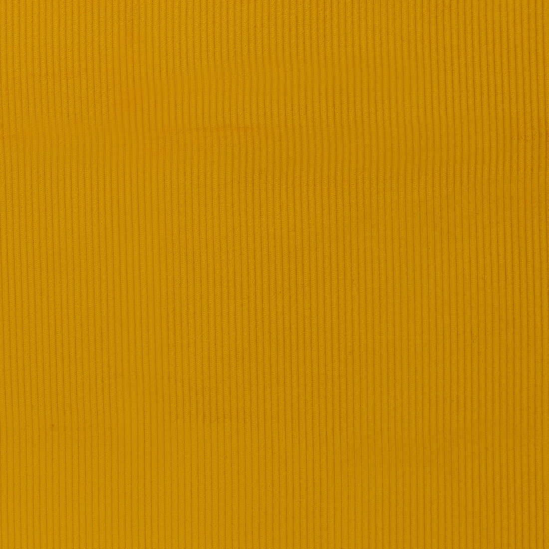 0,5m Breitcord Senf 313