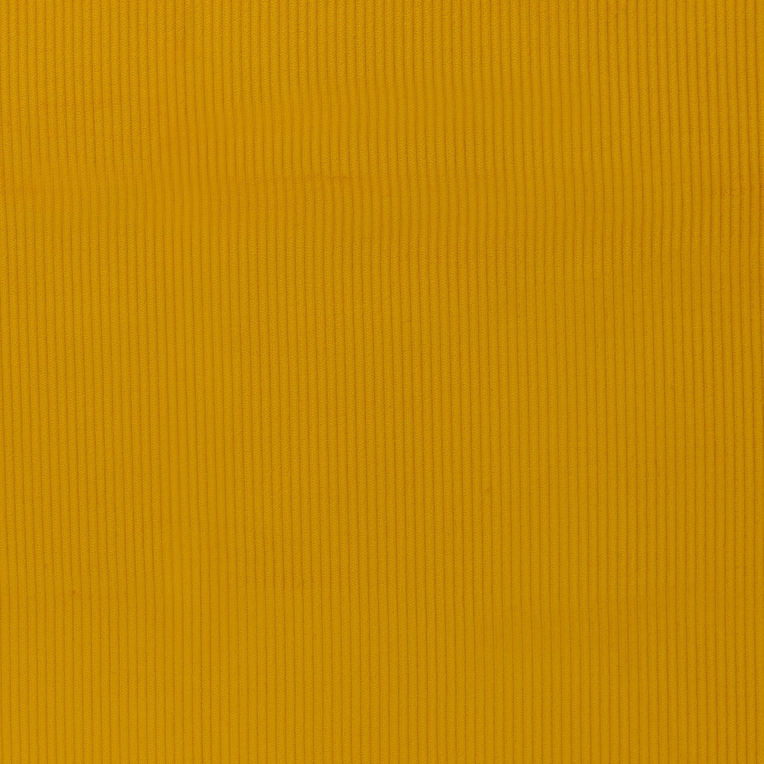 0,5m Breitcord Senf 313