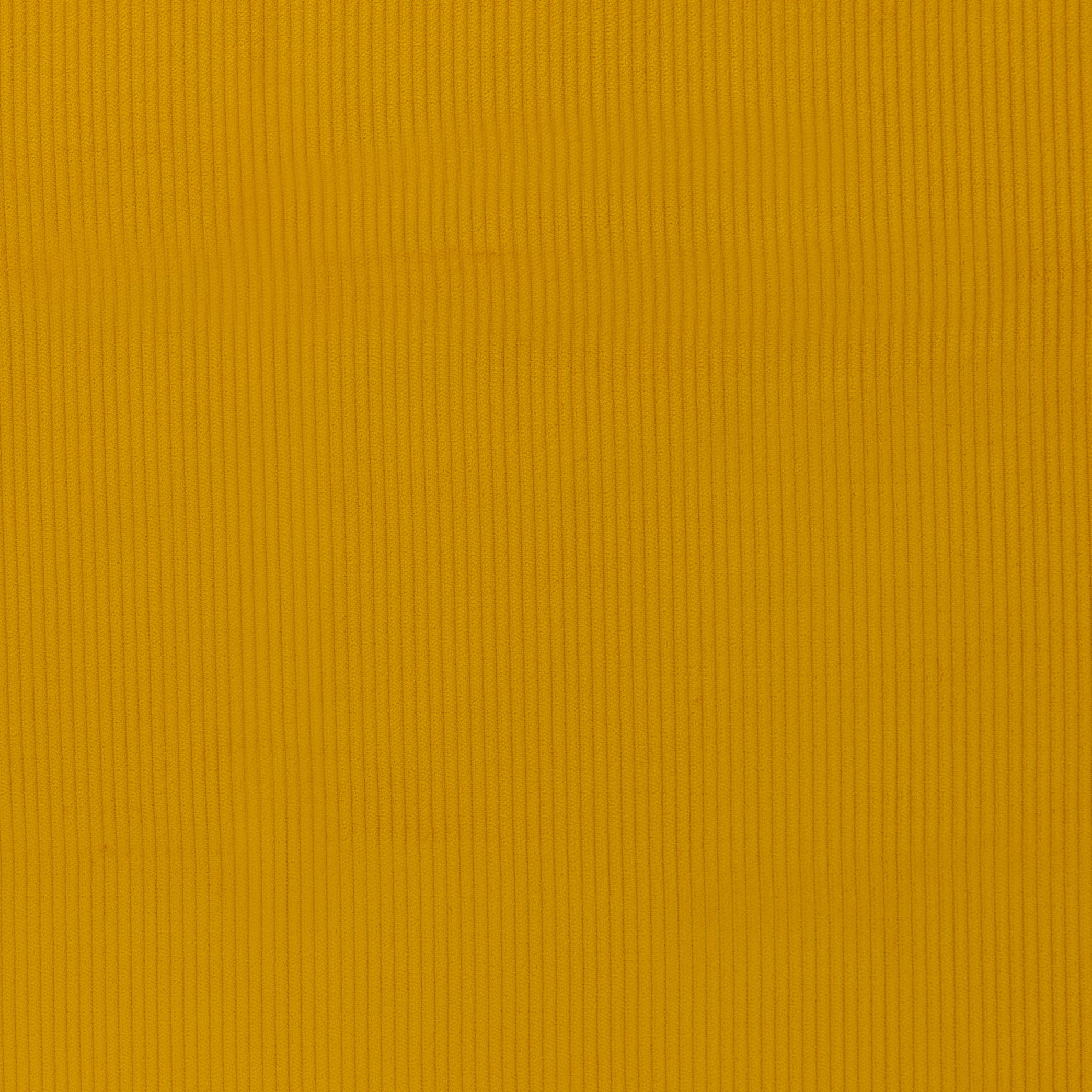 0,5m Breitcord Senf 313