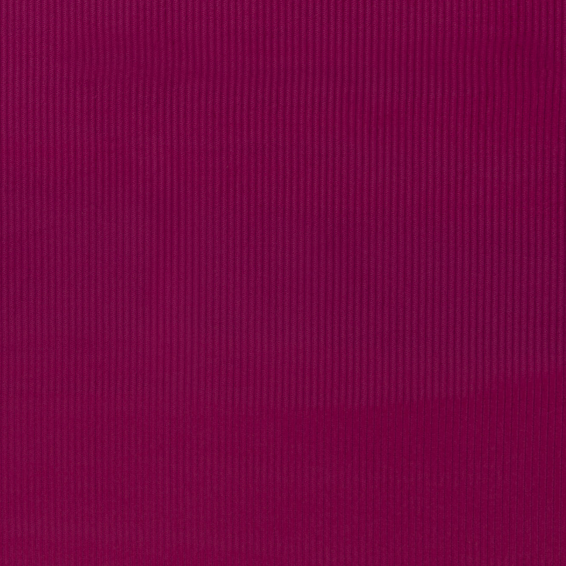 0,5m Breitcord Erika 936