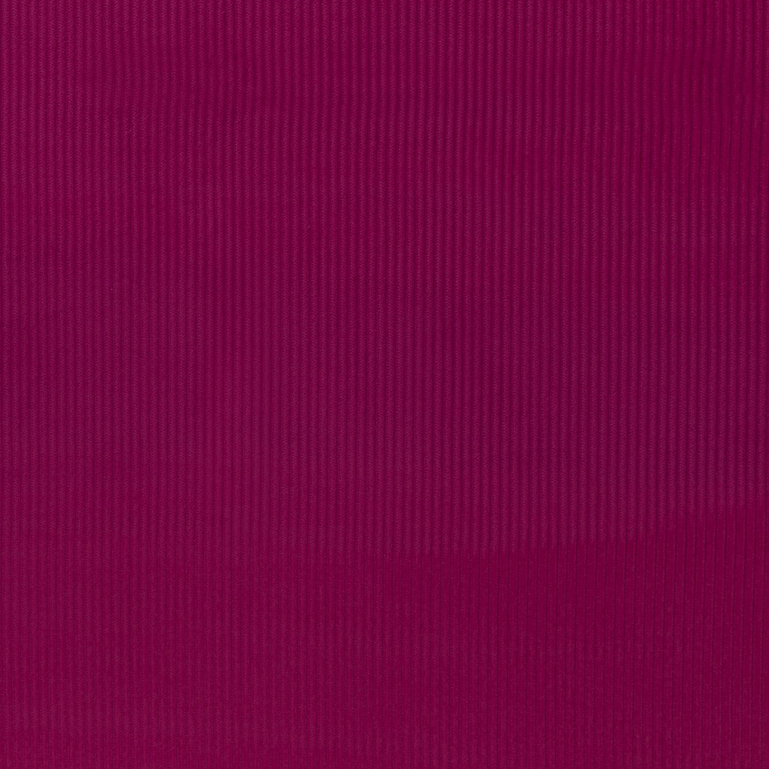 0,5m Breitcord Erika 936