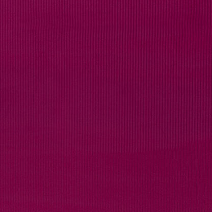 0,5m Breitcord Erika 936