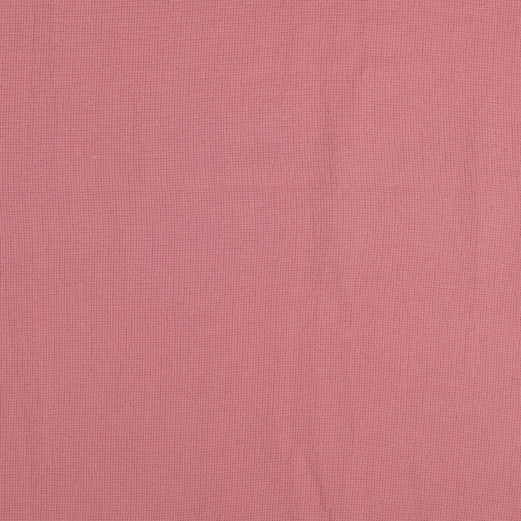 0,5m Summer Breeze rose 