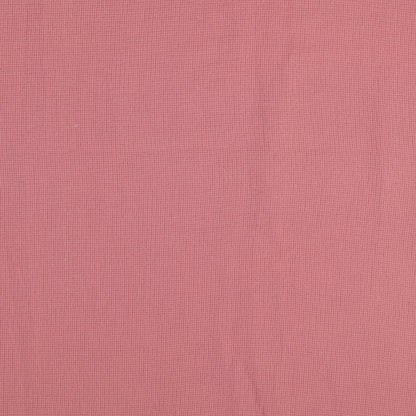 0,5m Summer Breeze rose 