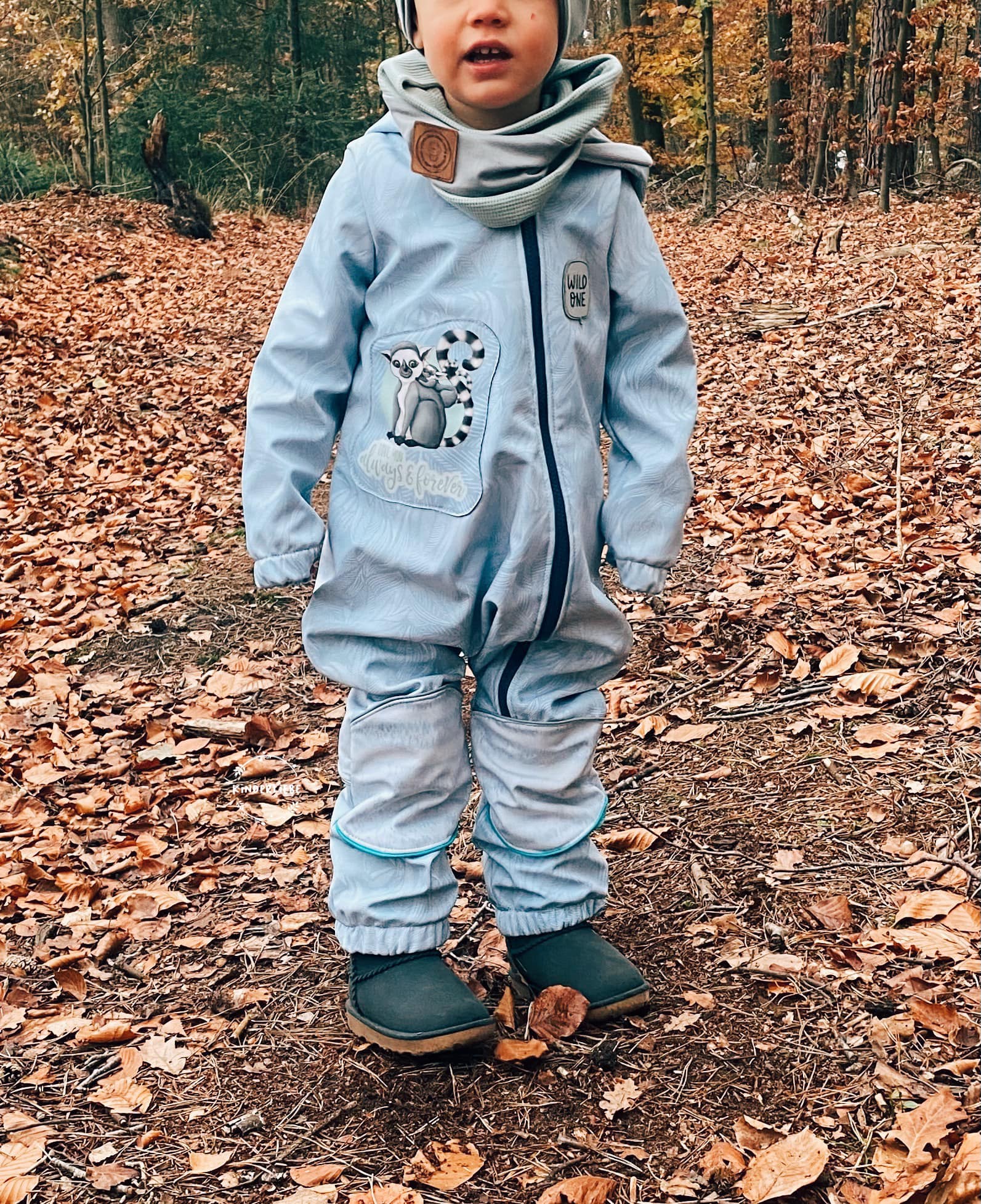 Softshell LemurenLIEBE taubenblau 