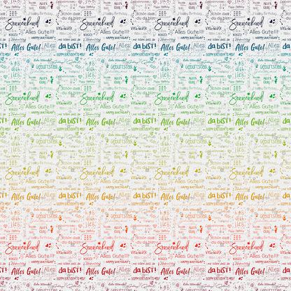 Bio-Jersey Charlie "Geburtstag" hellgrau rainbow 