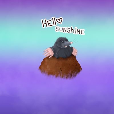 Bio-Jersey MaulwurfLIEBE moonlight Verlauf