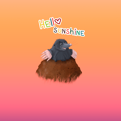 Bio-Jersey MaulwurfLIEBE sunset 