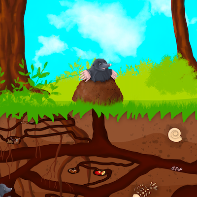 Bio-Jersey MaulwurfLIEBE Tunnel summer 