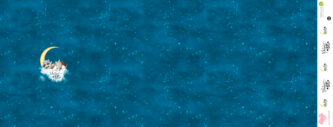 Bio-Jersey Charlie "Dream Big" petrol