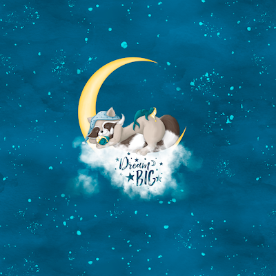 Bio-Jersey Charlie &quot;Dream Big&quot; petrol 