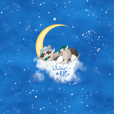 Bio-Jersey Charlie "Dream Big" mittelblau