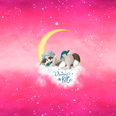 Bio-Jersey Charlie &quot;Dream Big&quot; Verlauf rosa 