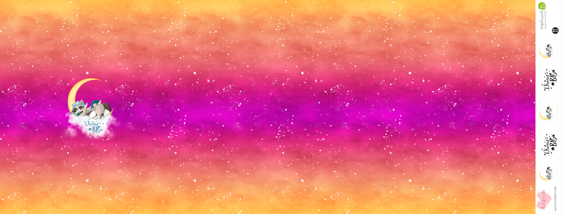 Bio-Jersey Charlie "Dream Big" Verlauf sunset