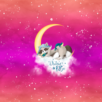 Bio-Jersey Charlie "Dream Big" Verlauf sunset