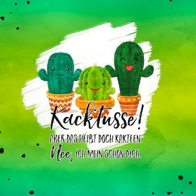 Bio-Jersey Kakteen "Kacktusse" grünblau 