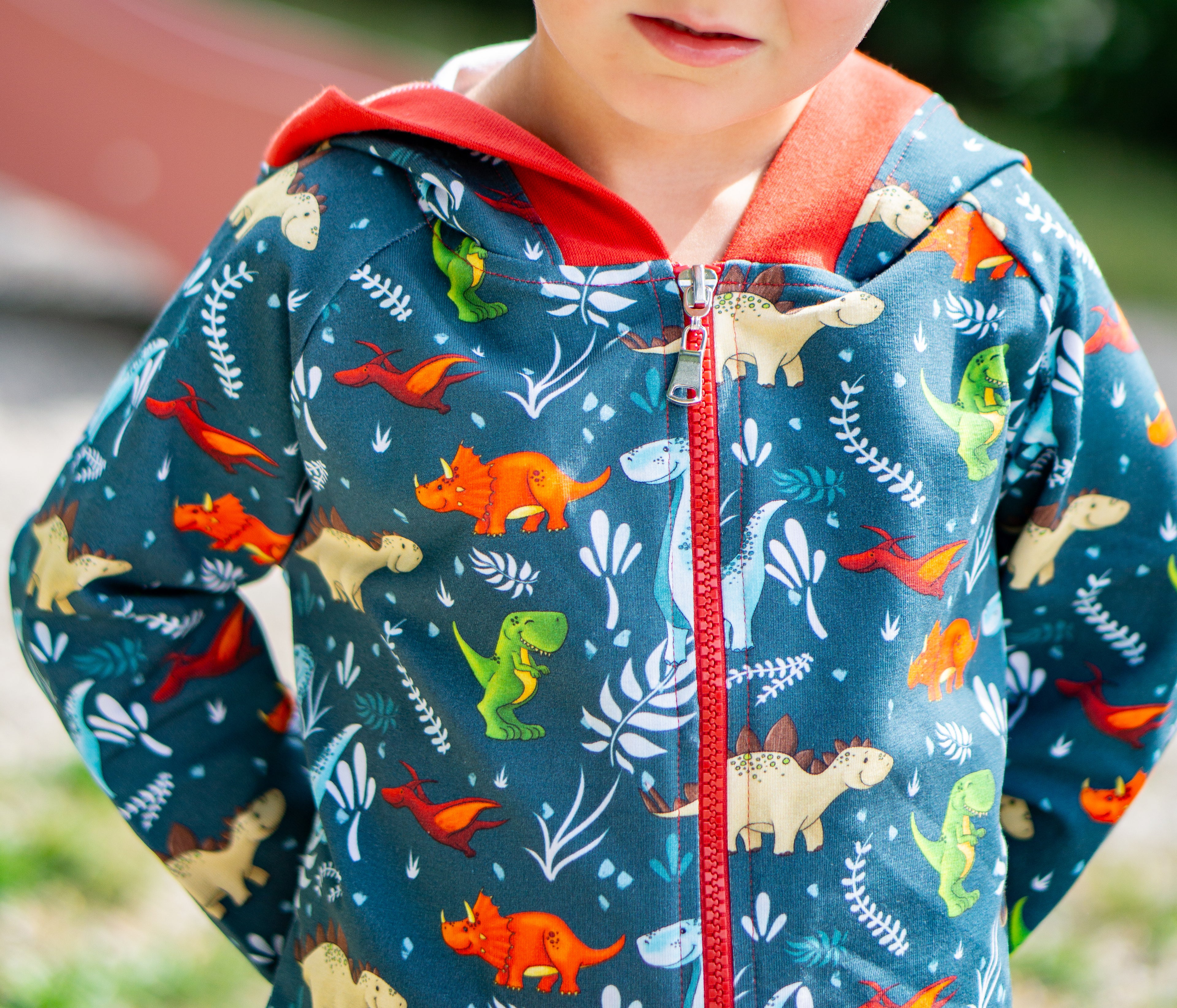 Dinofreunde Zip-Hoodie 