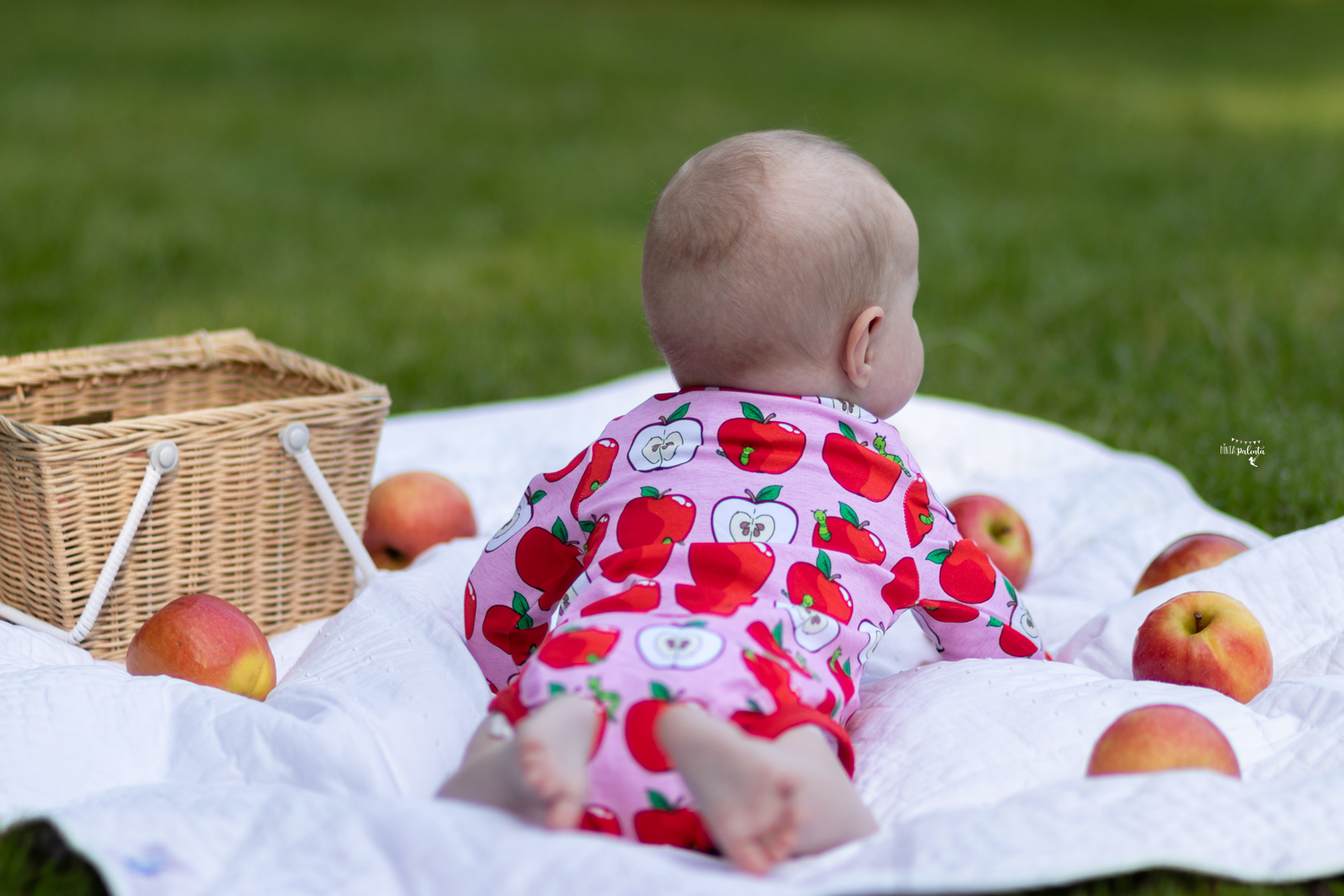 APFELRaupe rosa Body 